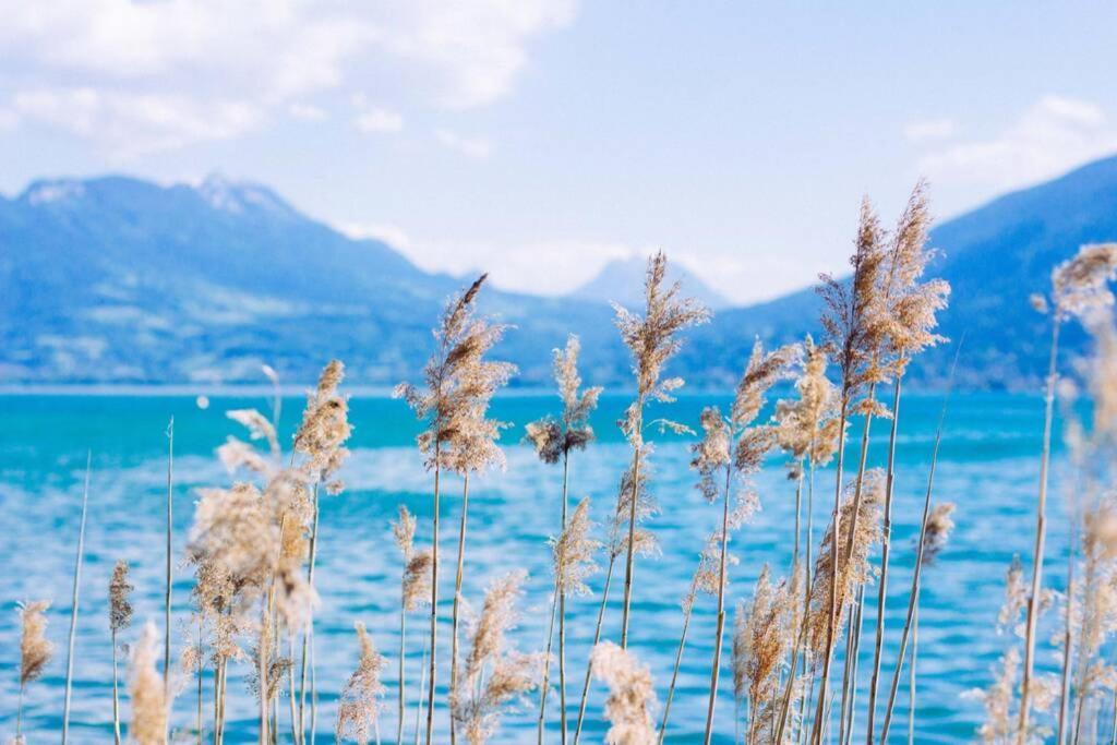 Le Boheme Beau T2 Vue Lac & Montagnes + Garage Annecy Bagian luar foto