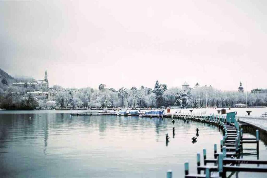 Le Boheme Beau T2 Vue Lac & Montagnes + Garage Annecy Bagian luar foto